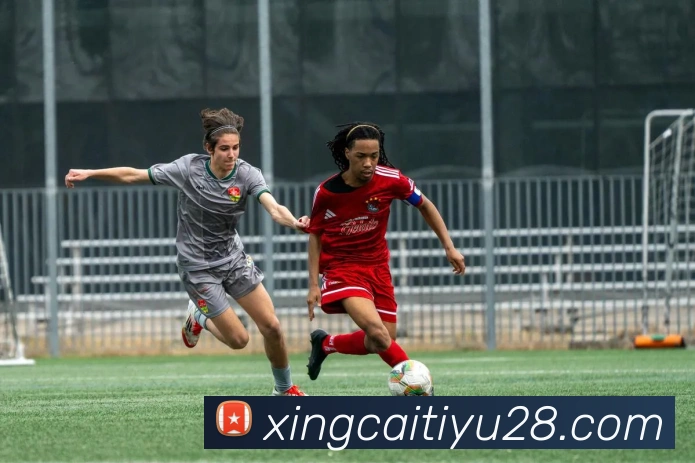 杏彩体育平台生态图